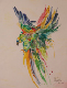 aquarelle_muriel_peroquet