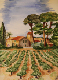 aquarelle_rosinda_vignes