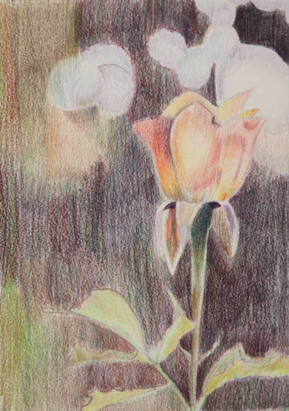 crayon_couleur_camille_rose
