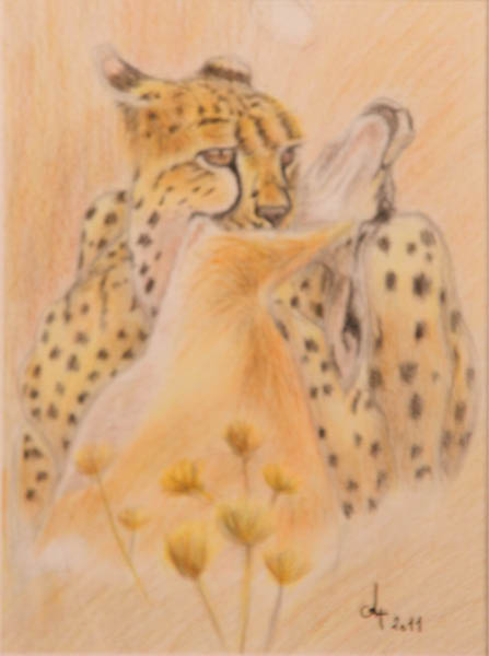 crayons_couleurs_alexandre_jaguar