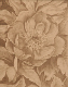fusain_fleur_ingrid