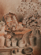 fusain_horticulture_brigitte