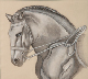 fusain_stella_cheval