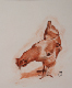 sanguine_m_cecile_poule