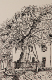 encre_chine_ingrid_arbre