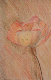 enfant_crayon_couleur_fleur_jacques