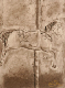 enfant_fusain_cheval_quetin