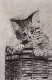 enfant_fusain_lauryn_chat
