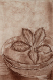enfant_sepia_carole_bol