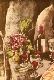 gouache_encre_chine_verres_vin