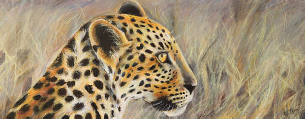 pastel_huile_yves_guepard