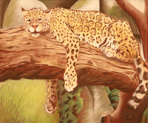 pastel_leopard_laura