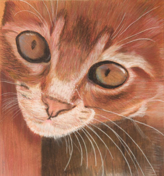 pastel_sec_sylvie_chat