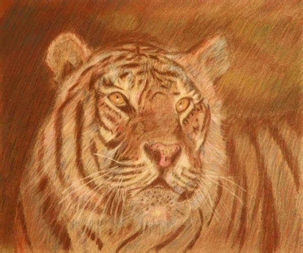 pastel_tigre_muriel