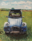 pastel_sec_cecile_deux_chevaux